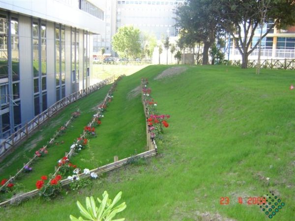 hydroseeding