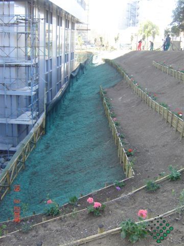 engazonnement par hydroseeding