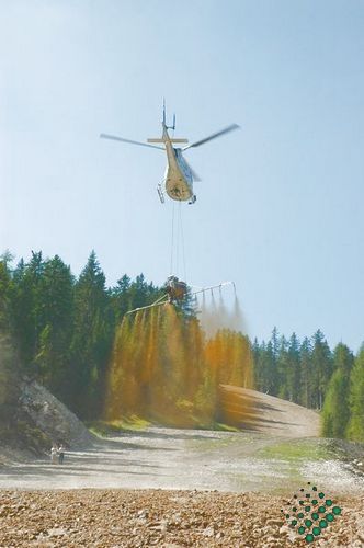 engazonnement par hydroseeding